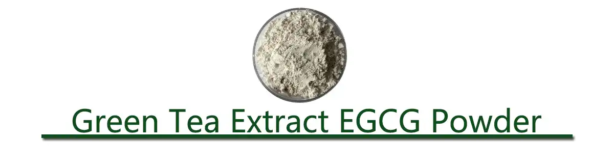 Green Tea Extract EGCG Powder.jpg